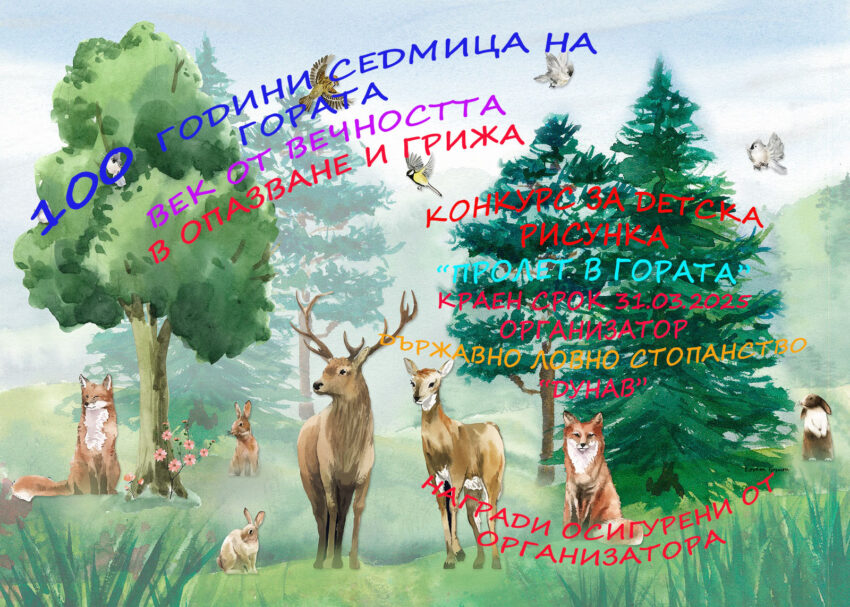 конкурс "Пролет в гората"